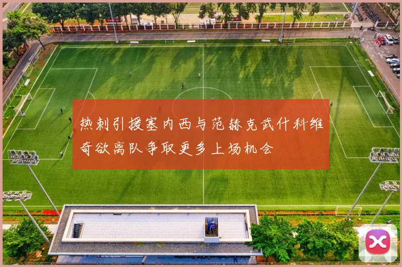 热刺引援塞内西与范赫克武什科维奇欲离队争取更多上场机会