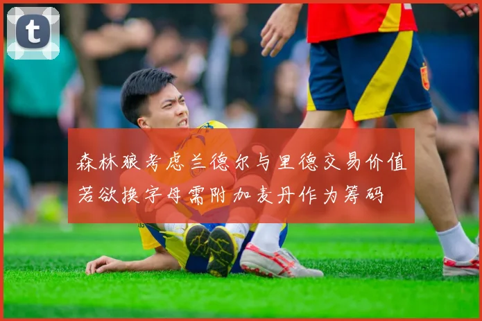 森林狼考虑兰德尔与里德交易价值若欲换字母需附加麦丹作为筹码