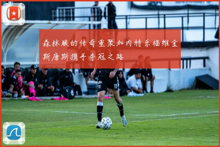 森林狼的传奇重聚加内特乐福维金斯唐斯携手夺冠之路