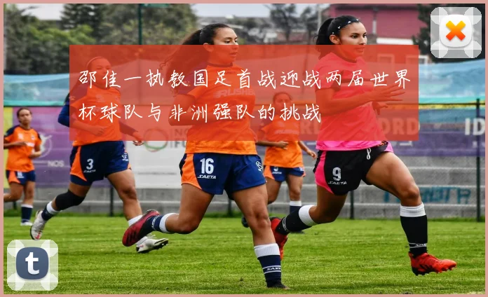 邵佳一执教国足首战迎战两届世界杯球队与非洲强队的挑战